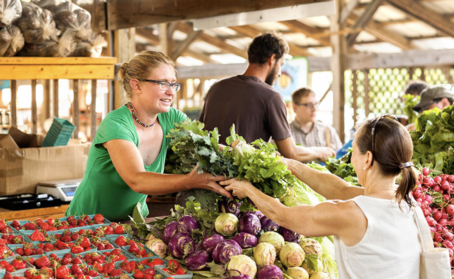 Sustainable Travel Guide: Places To Eat, Shop, and Explore in Ithaca —  Firelight Camps