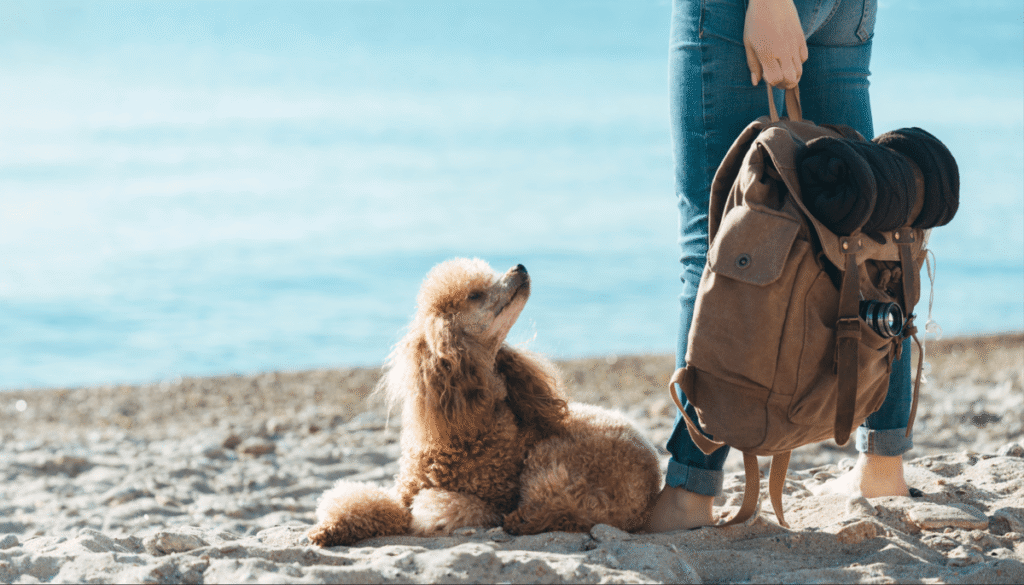 Travel light to reduce costs and impact