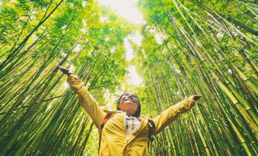 essential eco-friendly travel budget tips for conscious travelers